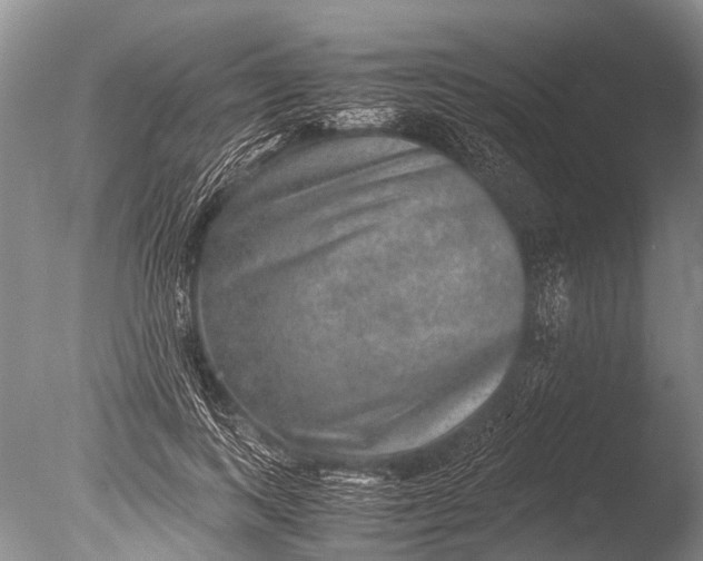 X0000085810743200703301525