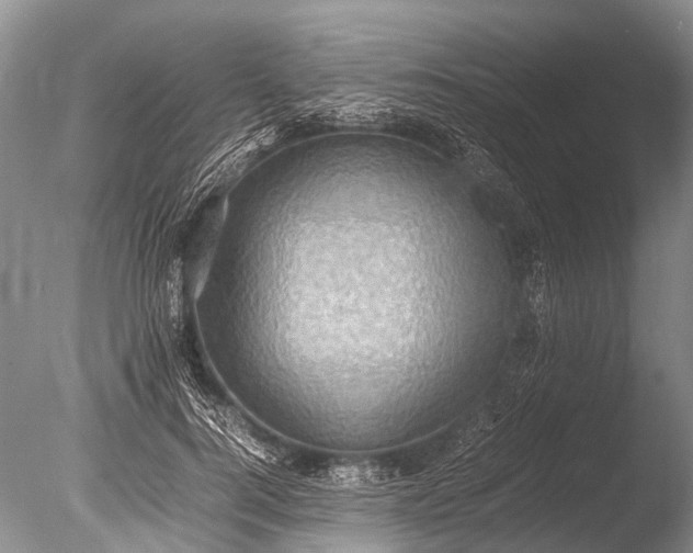 X0000085810744200703301525