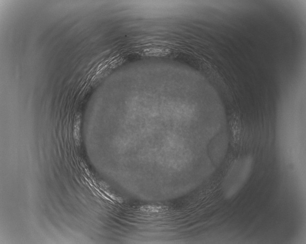 X0000085810745200703301525