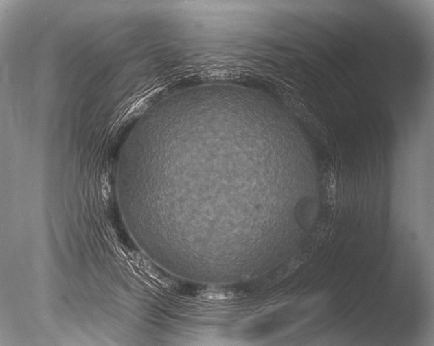 X0000085810746200703301525