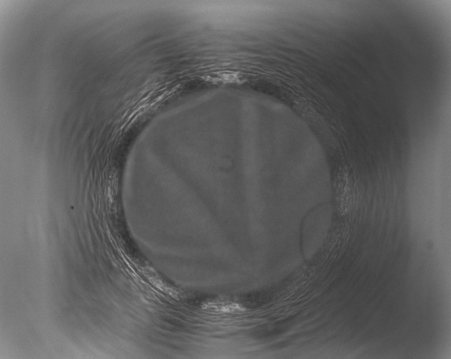 X0000085810747200703301525