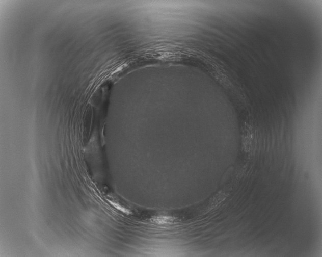 X0000085810748200703301525