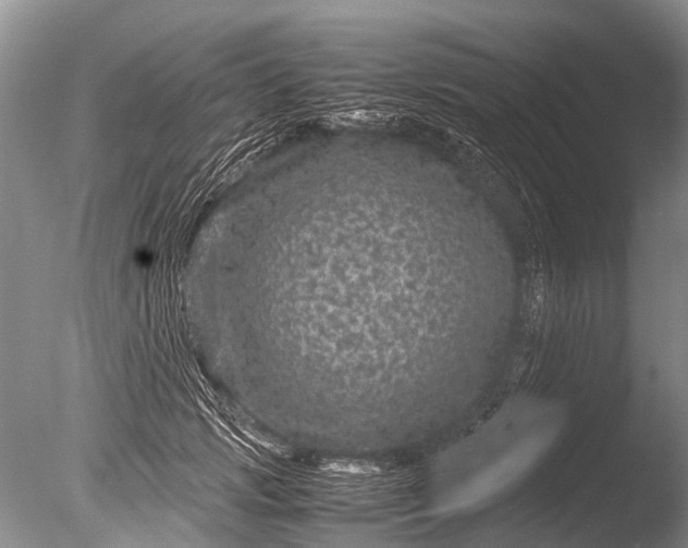 X0000085810749200703301525