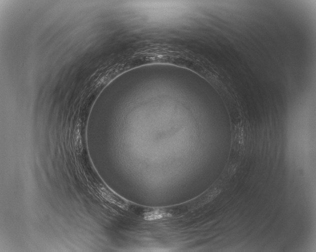 X0000085810754200703301525