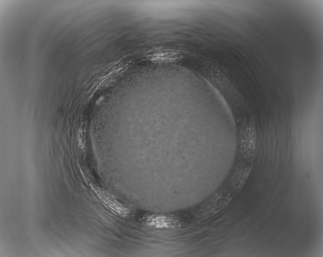 X0000085810755200703301525