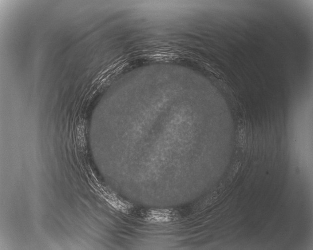 X0000085810757200703301525