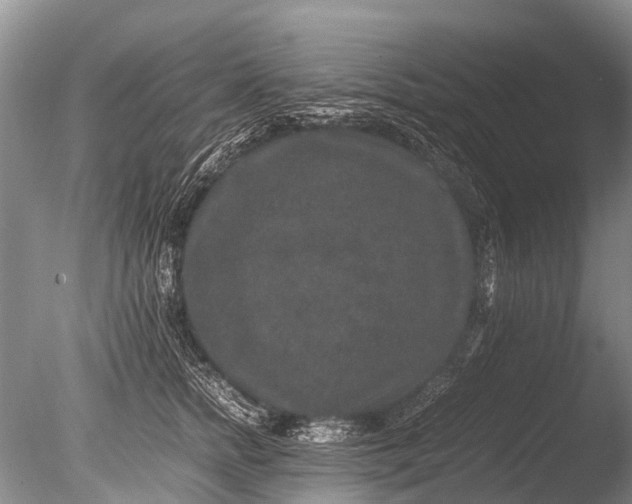 X0000085810758200703301525