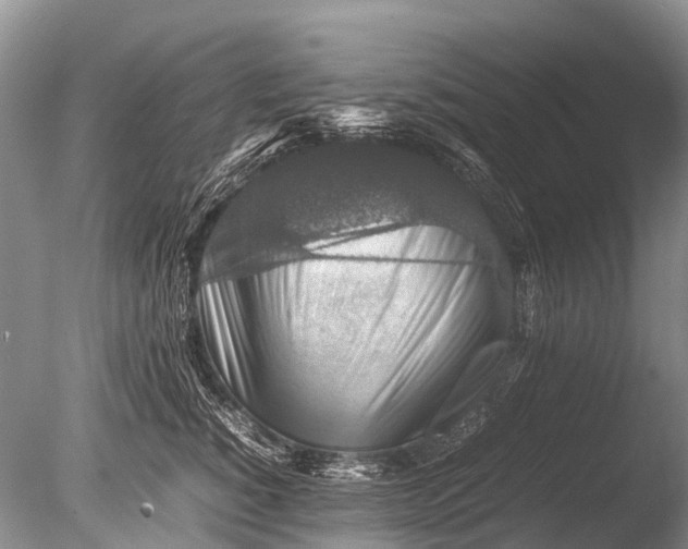 X0000085810760200703301525