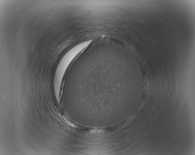 X0000085810762200703301525