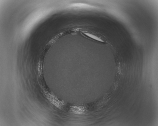 X0000085810763200703301525