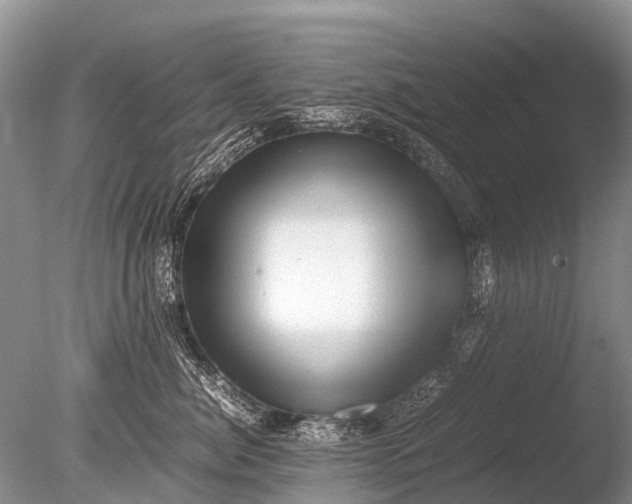 X0000085810764200703301525