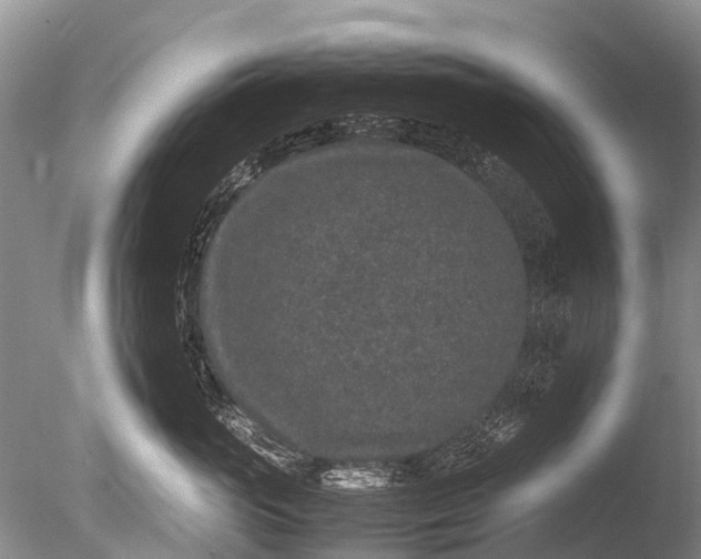 X0000085810765200703301525