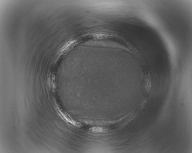 X0000085810766200703301525