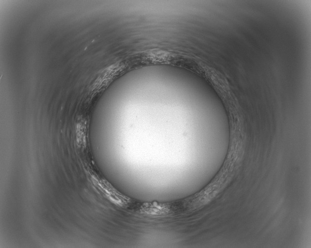 X0000085810768200703301525