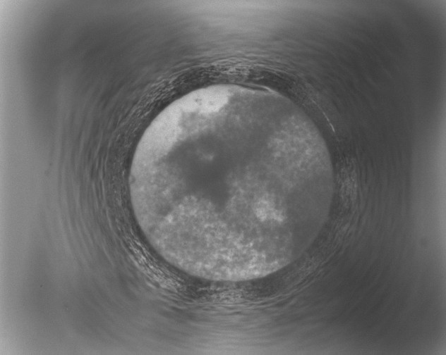 X0000085810769200703301524