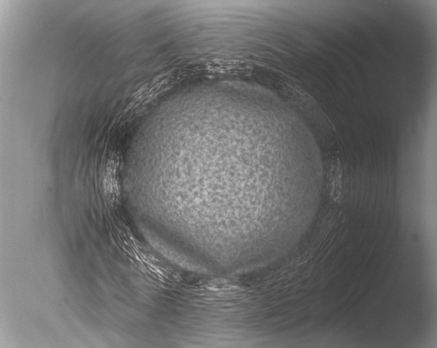 X0000085810770200703301524