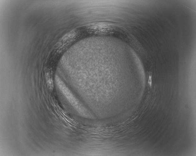 X0000085810771200703301524