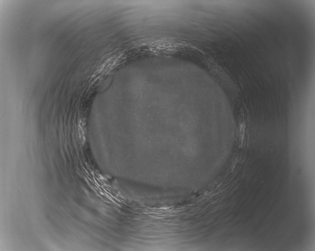 X0000085810772200703301524