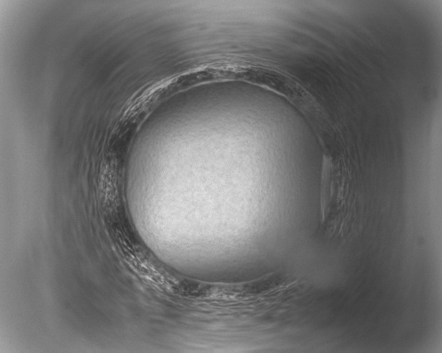 X0000085810773200703301524