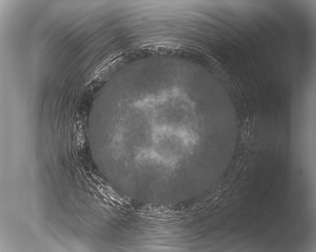 X0000085810774200703301524