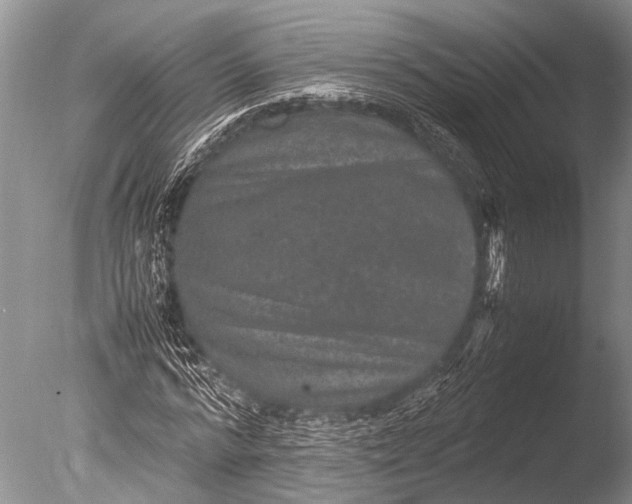 X0000085810776200703301524