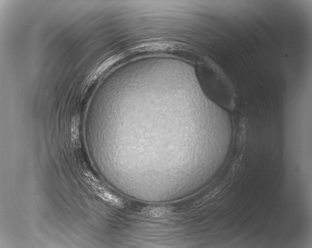 X0000085810778200703301524