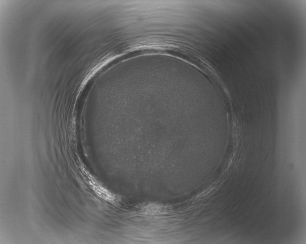 X0000085810779200703301524