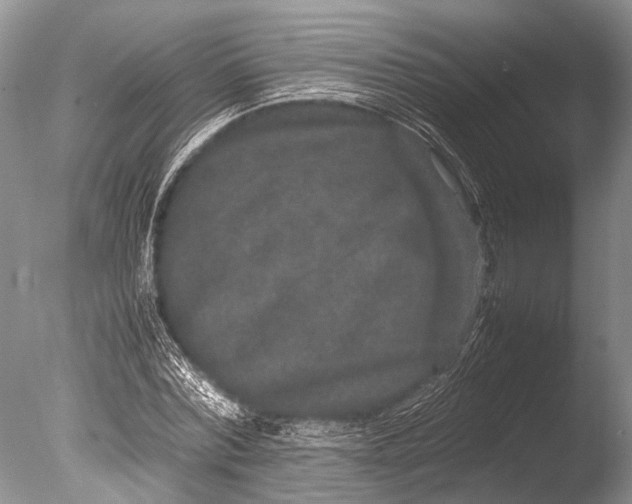 X0000085810780200703301524