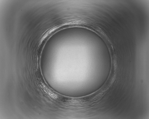 X0000085810781200703301524