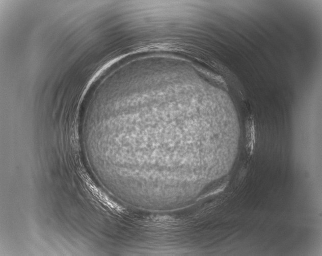 X0000085810784200703301524