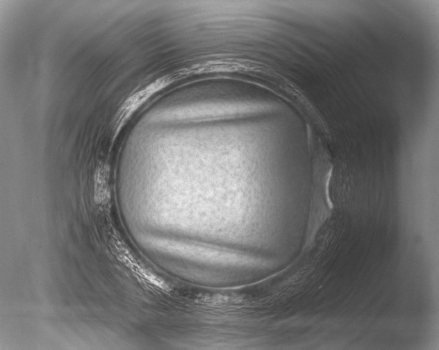 X0000085810786200703301524