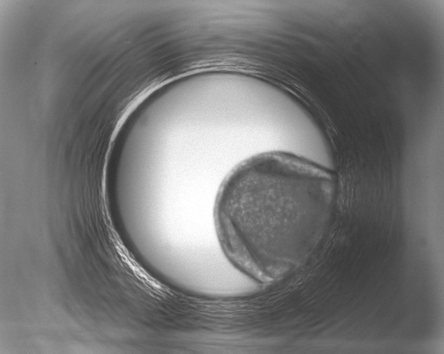 X0000085810788200703301524