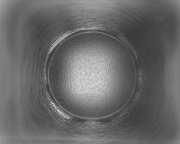 X0000085810789200703301524