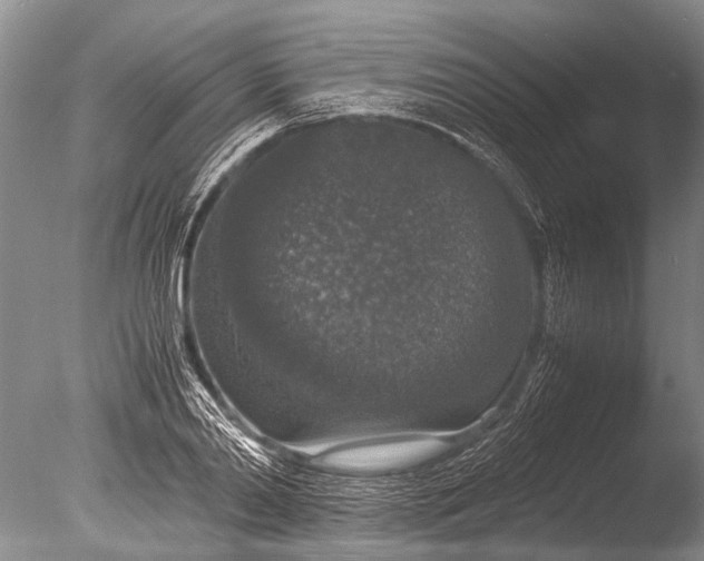 X0000085810790200703301524