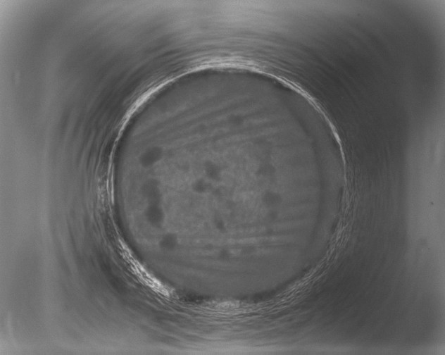 X0000085810791200703301524