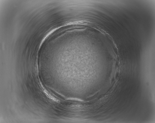 X0000085810792200703301524