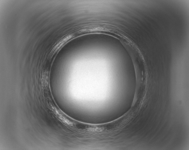 X0000085810793200703301524