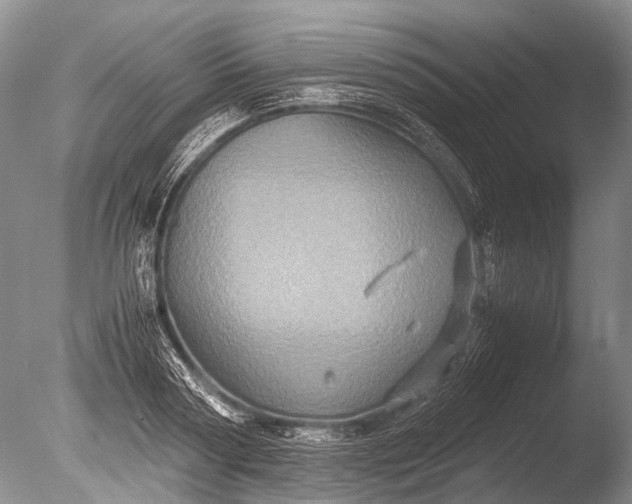 X0000085810794200703301524