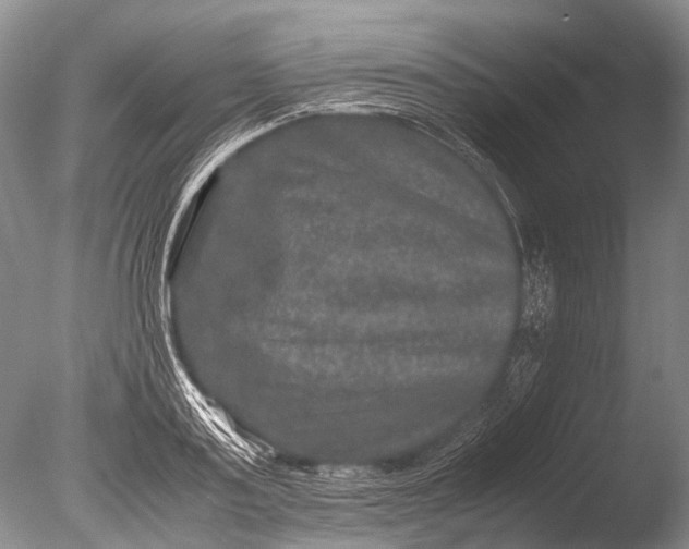 X0000085810795200703301524