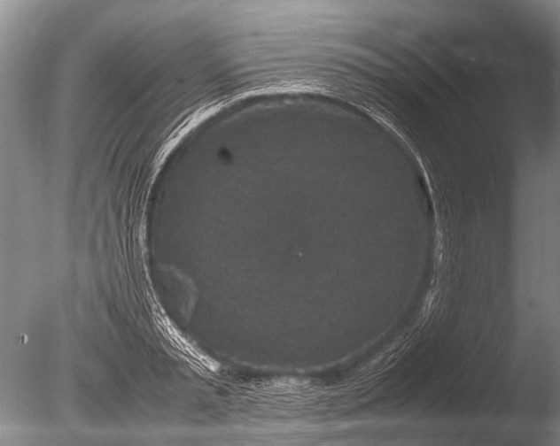 X0000085810797200703301524