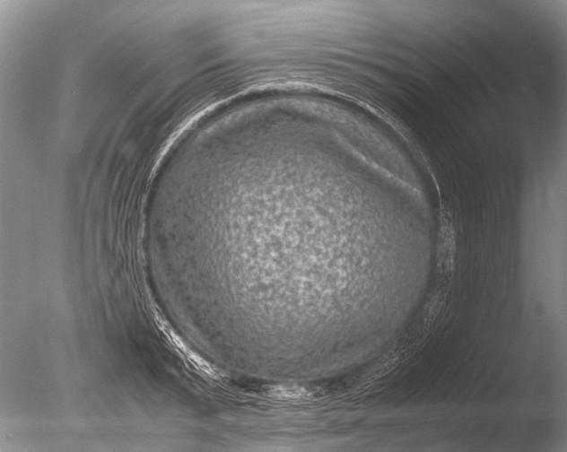 X0000085810799200703301524