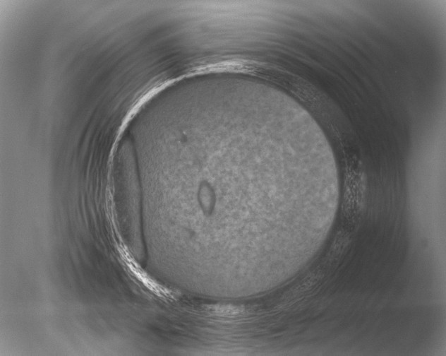 X0000085810800200703301524