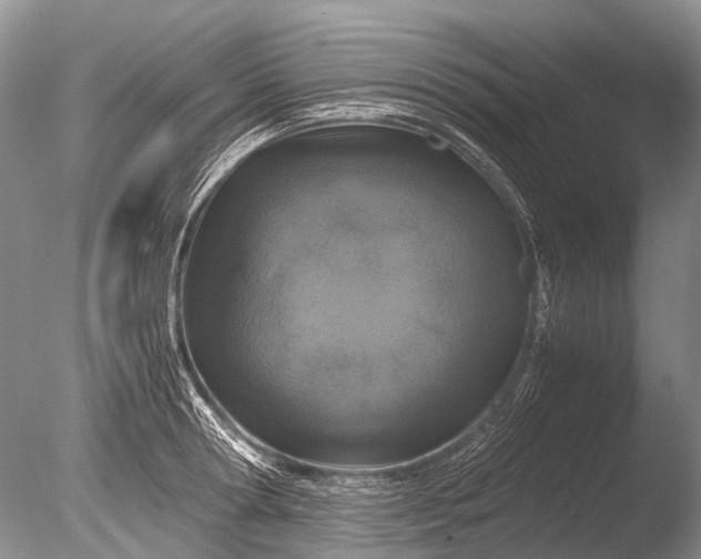 X0000085810802200703301524