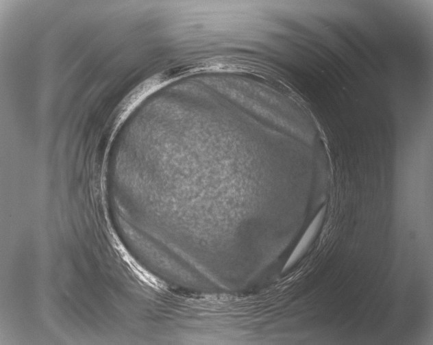 X0000085810803200703301524