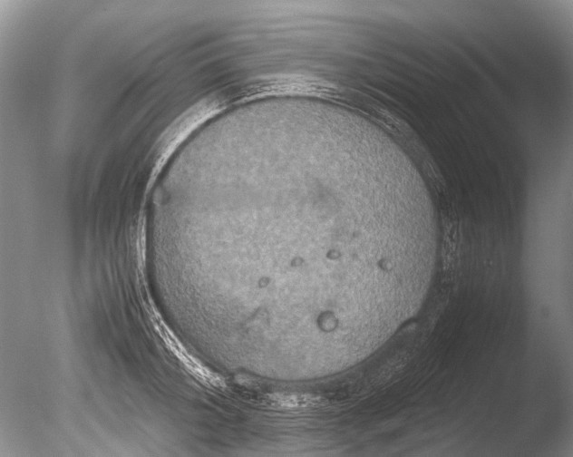 X0000085810804200703301524