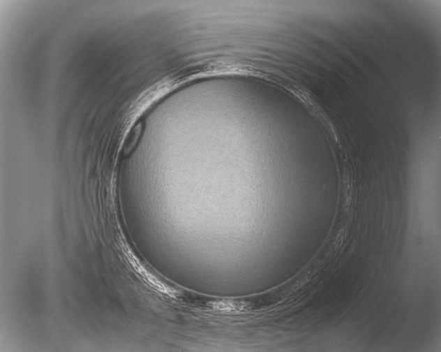 X0000085810805200703301524