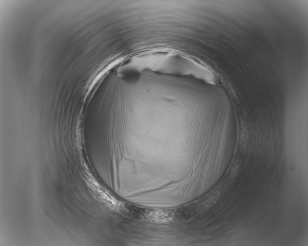 X0000085810806200703301523