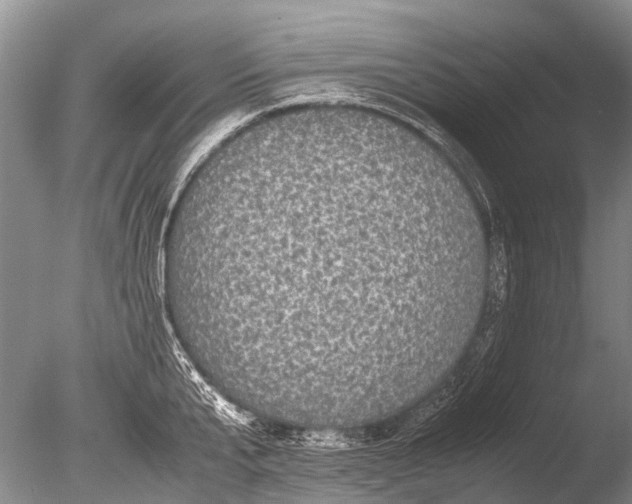 X0000085810807200703301523