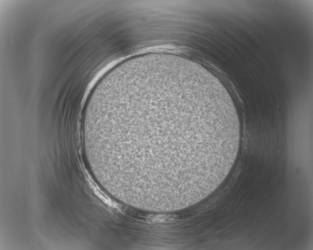 X0000085810808200703301523