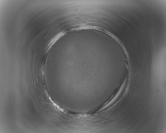 X0000085810809200703301523